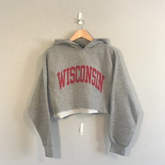 🌿 Original | Cropped Wisconsin Hoodie - Picture 1 of 1